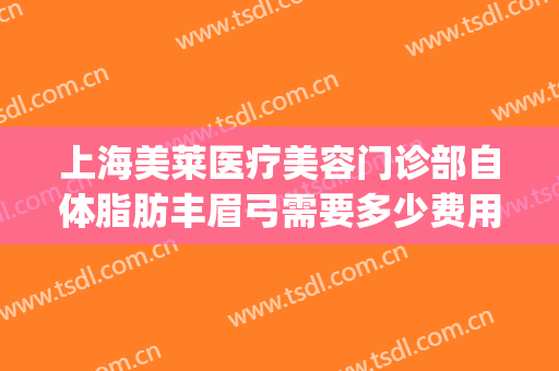 上海美莱医疗美容门诊部自体脂肪丰眉弓需要多少费用?贵不贵?(自体脂肪填充眉弓多少钱)