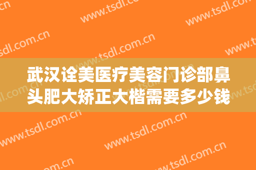 武汉诠美医疗美容门诊部鼻头肥大矫正大楷需要多少钱?贵不贵?(武汉诠美整容医院)