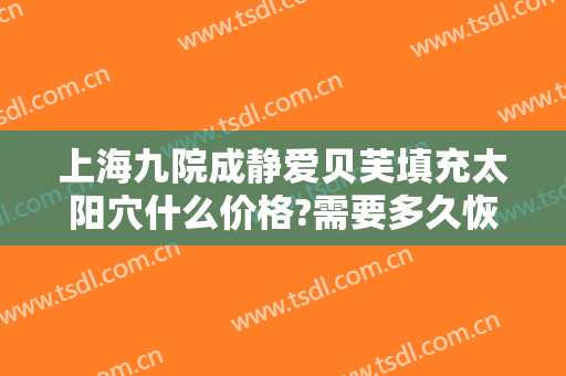上海九院成静爱贝芙填充太阳穴什么价格?需要多久恢复?