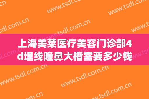 上海美莱医疗美容门诊部4d埋线隆鼻大楷需要多少钱?靠谱吗?(美容店埋线双眼皮多少钱)