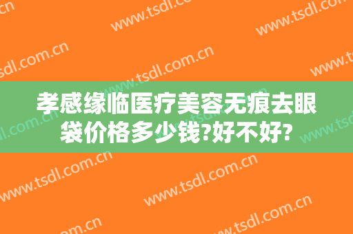 孝感缘临医疗美容无痕去眼袋价格多少钱?好不好?