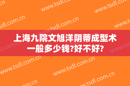 上海九院文旭洋阴蒂成型术一般多少钱?好不好?