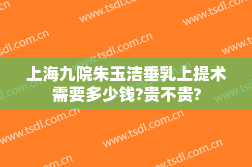 上海九院朱玉洁垂乳上提术需要多少钱?贵不贵?