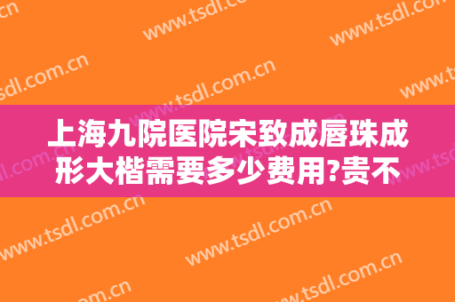 上海九院医院宋致成唇珠成形大楷需要多少费用?贵不贵?