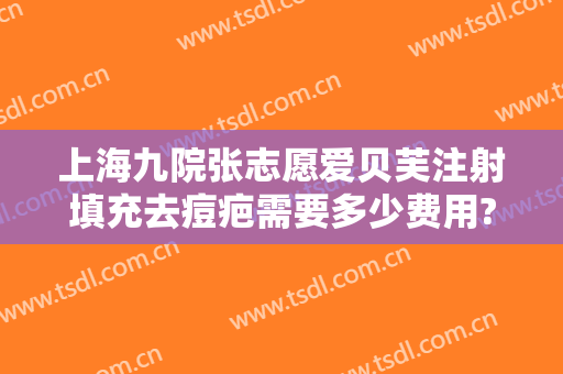 上海九院张志愿爱贝芙注射填充去痘疤需要多少费用?效果怎么样?