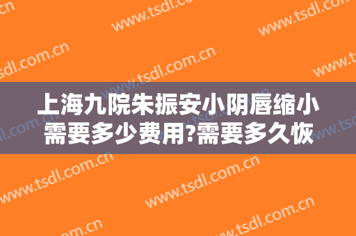 上海九院朱振安小阴唇缩小需要多少费用?需要多久恢复?