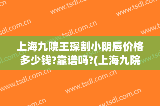 上海九院王琛割小阴唇价格多少钱?靠谱吗?(上海九院做了M唇)