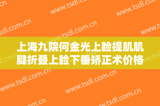 上海九院何金光上睑提肌肌腱折叠上睑下垂矫正术价格多少钱?贵不贵?