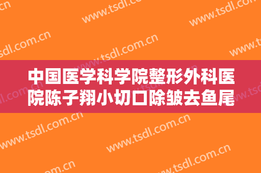 中国医学科学院整形外科医院陈子翔小切口除皱去鱼尾纹需要多少钱?可靠吗?