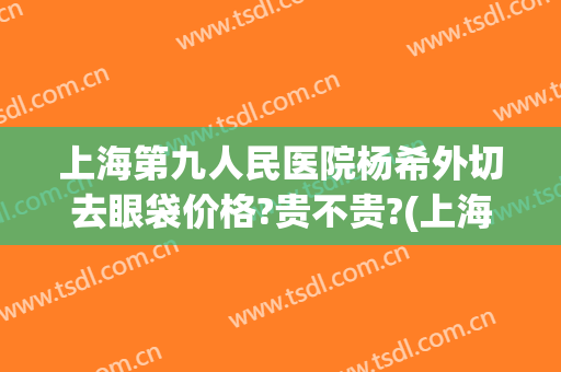 上海第九人民医院杨希外切去眼袋价格?贵不贵?(上海九院去眼袋手术)