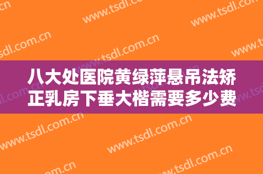 八大处医院黄绿萍悬吊法矫正乳房下垂大楷需要多少费用?有哪些优势?