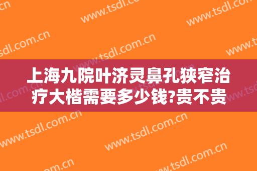 上海九院叶济灵鼻孔狭窄治疗大楷需要多少钱?贵不贵?