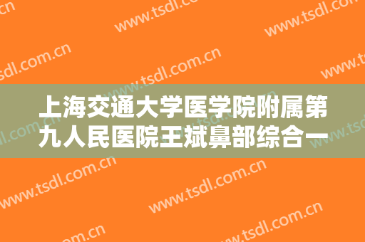 上海交通大学医学院附属第九人民医院王斌鼻部综合一般价位是多少费用?效果怎么样?