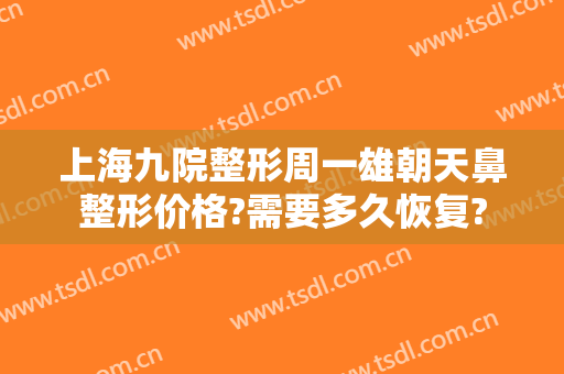上海九院整形周一雄朝天鼻整形价格?需要多久恢复?