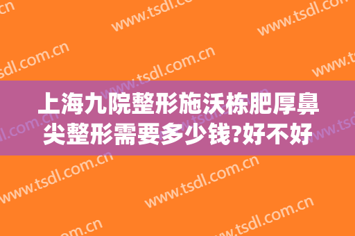 上海九院整形施沃栋肥厚鼻尖整形需要多少钱?好不好?(上海九院施沃栋割双眼皮怎样)