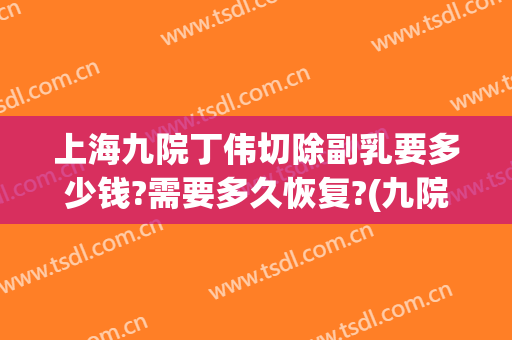 上海九院丁伟切除副乳要多少钱?需要多久恢复?(九院切副乳手术多少钱)