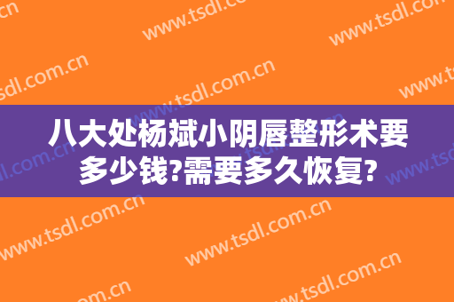 八大处杨斌小阴唇整形术要多少钱?需要多久恢复?