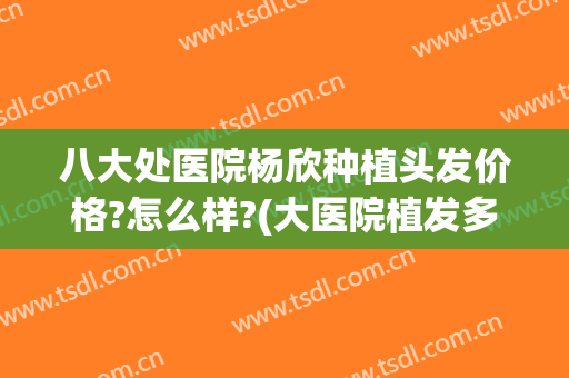 八大处医院杨欣种植头发价格?怎么样?(大医院植发多少钱)