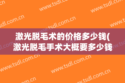 激光脱毛术的价格多少钱(激光脱毛手术大概要多少钱)