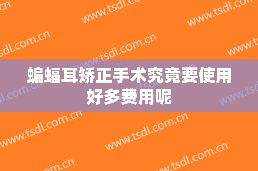 蝙蝠耳矫正手术究竟要使用好多费用呢