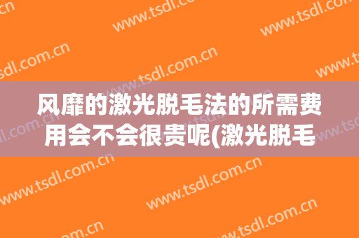 风靡的激光脱毛法的所需费用会不会很贵呢(激光脱毛贵不贵?)