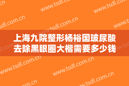 上海九院整形杨裕国玻尿酸去除黑眼圈大楷需要多少钱?贵不贵?