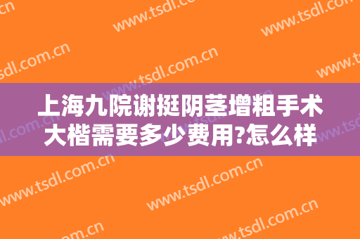 上海九院谢挺阴茎增粗手术大楷需要多少费用?怎么样?