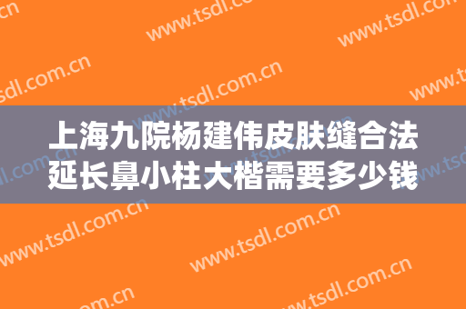 上海九院杨建伟皮肤缝合法延长鼻小柱大楷需要多少钱?有哪些优势?(上海九院丁伟隆鼻案例)