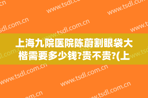 上海九院医院陈蔚割眼袋大楷需要多少钱?贵不贵?(上海九院做去眼袋手术最好的主任医生)