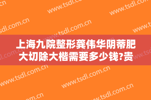 上海九院整形龚伟华阴蒂肥大切除大楷需要多少钱?贵不贵?