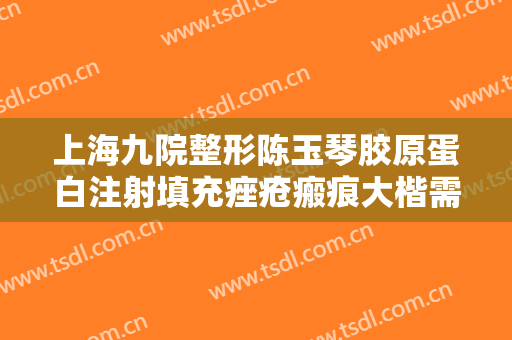 上海九院整形陈玉琴胶原蛋白注射填充痤疮瘢痕大楷需要多少费用?好不好?