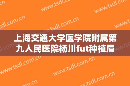 上海交通大学医学院附属第九人民医院杨川fut种植眉毛大楷需要多少费用?有哪些优势?