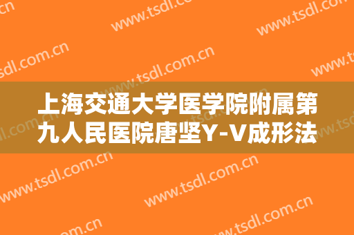 上海交通大学医学院附属第九人民医院唐坚Y-V成形法眉部整形价钱?靠谱吗?