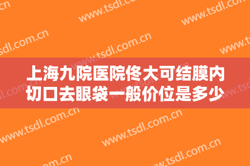 上海九院医院佟大可结膜内切口去眼袋一般价位是多少费用?怎么样?
