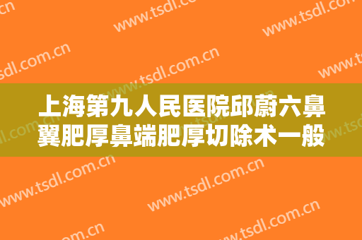 上海第九人民医院邱蔚六鼻翼肥厚鼻端肥厚切除术一般价位是多少?好不好?
