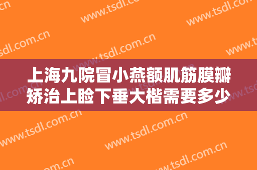 上海九院冒小燕额肌筋膜瓣矫治上睑下垂大楷需要多少钱?有哪些优势?