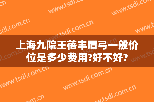 上海九院王蓓丰眉弓一般价位是多少费用?好不好?