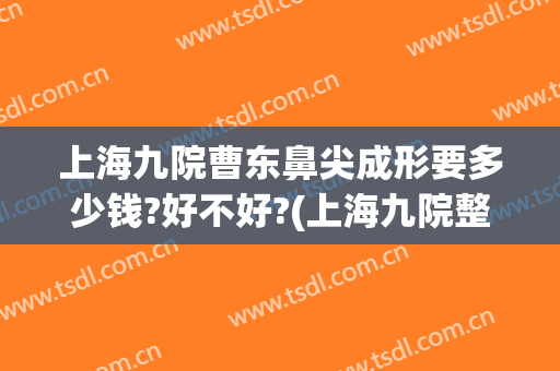 上海九院曹东鼻尖成形要多少钱?好不好?(上海九院整鼻子多少钱)