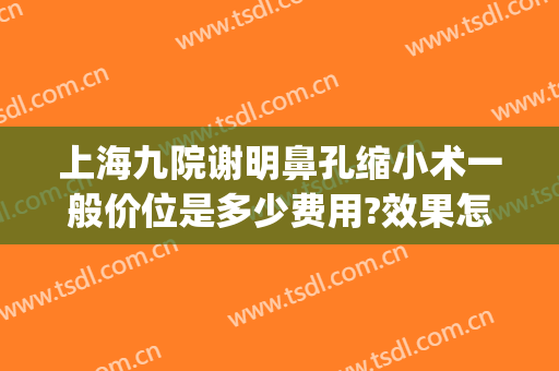 上海九院谢明鼻孔缩小术一般价位是多少费用?效果怎么样?(上海九院鼻头缩小多少钱)