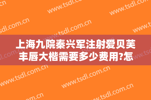 上海九院秦兴军注射爱贝芙丰唇大楷需要多少费用?怎么样?