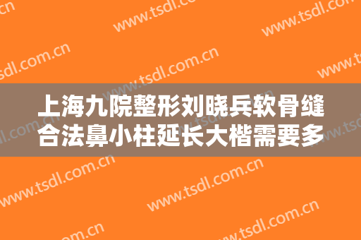 上海九院整形刘晓兵软骨缝合法鼻小柱延长大楷需要多少费用?靠谱吗?