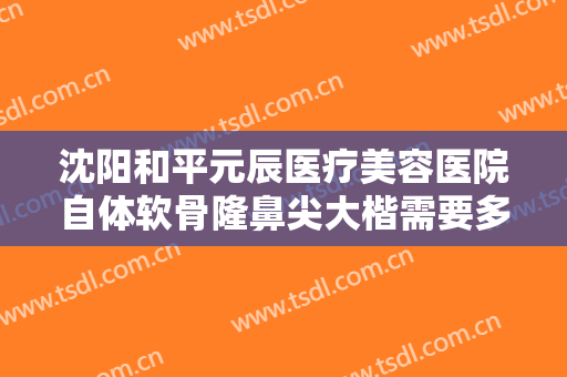 沈阳和平元辰医疗美容医院自体软骨隆鼻尖大楷需要多少费用?怎么样?