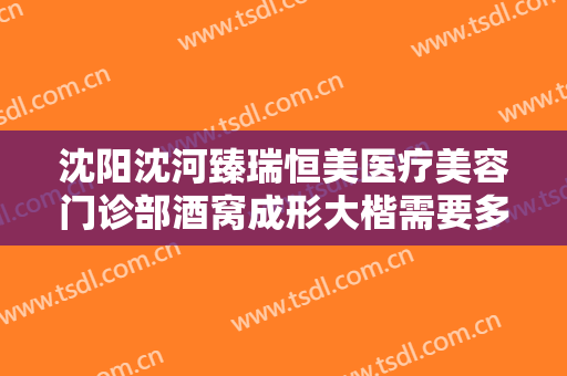 沈阳沈河臻瑞恒美医疗美容门诊部酒窝成形大楷需要多少费用?靠谱吗?