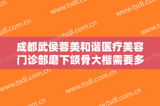 成都武侯蓉美和谐医疗美容门诊部磨下颌骨大楷需要多少费用?怎么样?