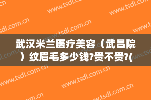 武汉米兰医疗美容（武昌院）纹眉毛多少钱?贵不贵?(武汉米兰整形美容院怎么样)