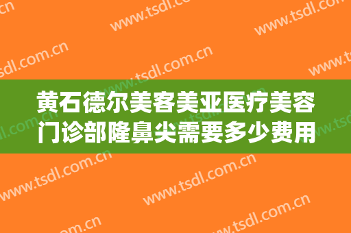 黄石德尔美客美亚医疗美容门诊部隆鼻尖需要多少费用?有哪些优势?(中央环保督察组吉林省回头看)