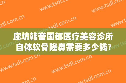 廊坊韩誉国都医疗美容诊所自体软骨隆鼻需要多少钱?可靠吗?(廊坊韩誉国都医疗整形怎么样)
