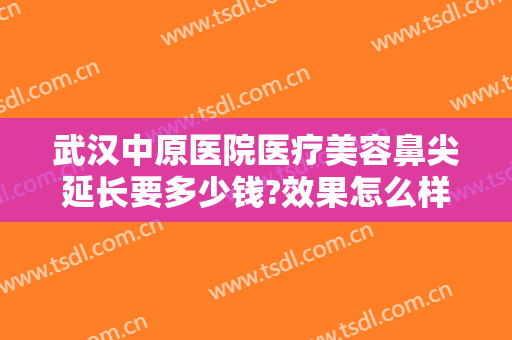 武汉中原医院医疗美容鼻尖延长要多少钱?效果怎么样?