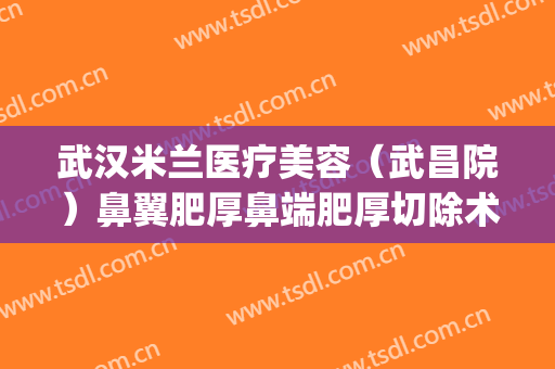 武汉米兰医疗美容（武昌院）鼻翼肥厚鼻端肥厚切除术价钱?好不好?(武汉美鼻手术美莱整形)