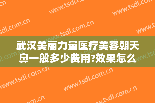 武汉美丽力量医疗美容朝天鼻一般多少费用?效果怎么样?